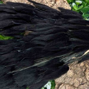 Lagurus ovatus nero