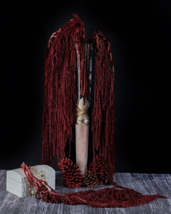 Amaranto bordeaux - immagine 2