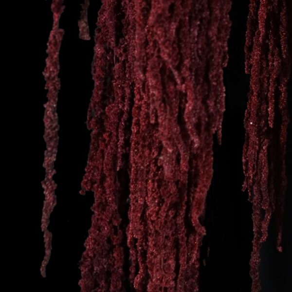 Amaranto bordeaux - immagine 3