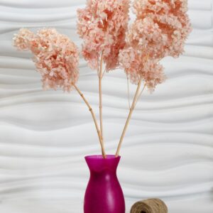 Hydrangea (Ortensia) rosa
