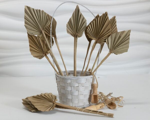 Palm spear small natural