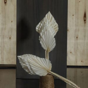 Palm spear small white