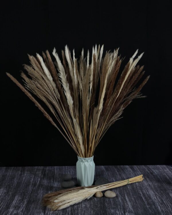 Bouquet pampas reed
