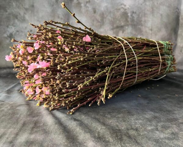 fiore di pesco - immagine 3