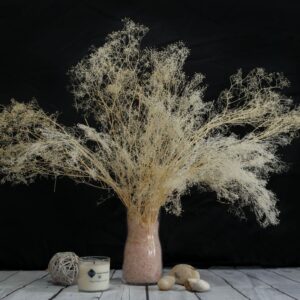 Gypsophila mini bianca