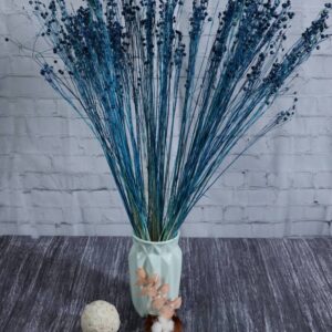 Lino blu