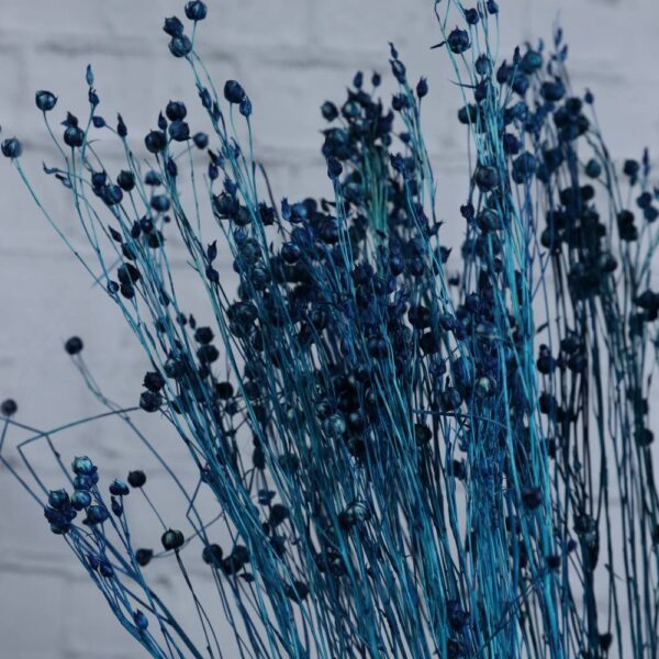 Lino blu - immagine 2