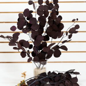 Eucalyptus silver dollar bordeaux