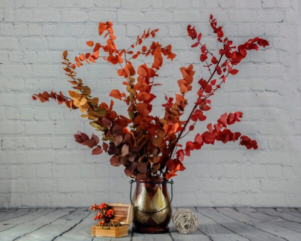 Eucalyptus stuartiana autunno - immagine 2