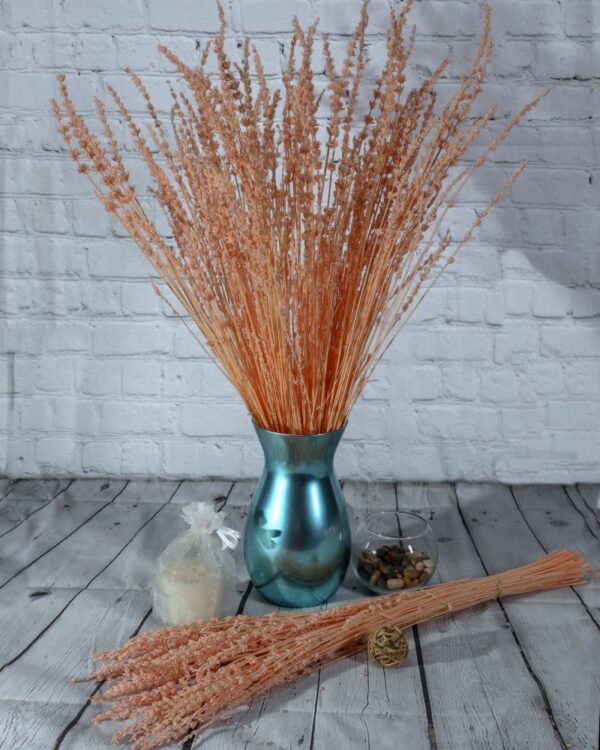 Lavanda rosa chiaro - immagine 2