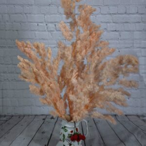 Ming fern light pink