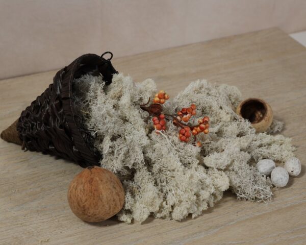 Moss white - Image 2