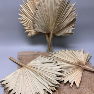 Palm carnation natural