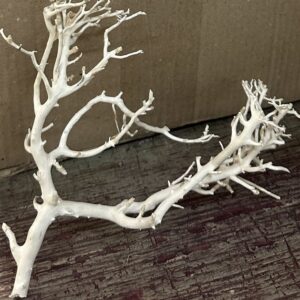 Sea bush white