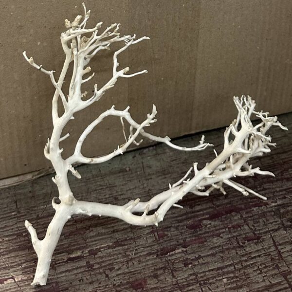 Sea bush bianco - immagine 2