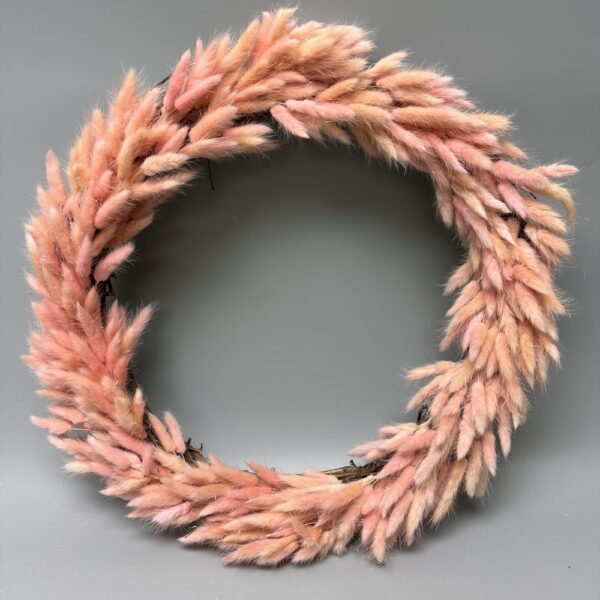 Ghirlanda lagurus rosa
