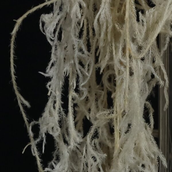 Rope leaves bianco caldo