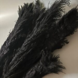 Pampas grande nera