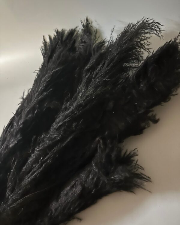 Pampas grande nera