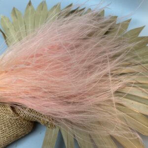 Stipa pennata light pink
