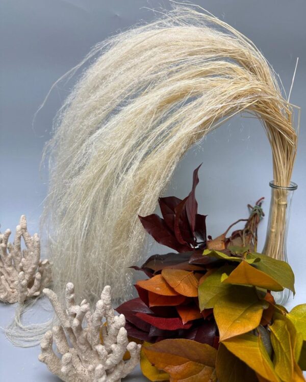 Salal autunnale - immagine 4