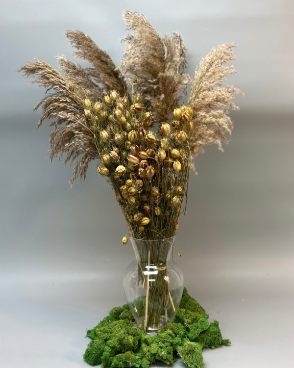 Nigella Damascena verde - immagine 3