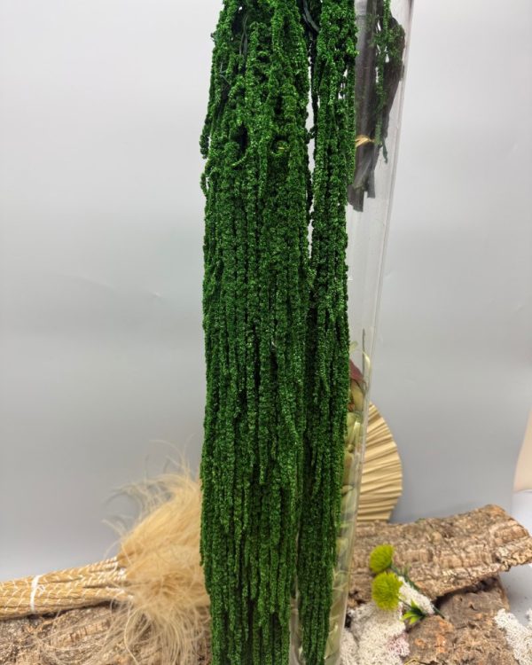 Amaranto verde