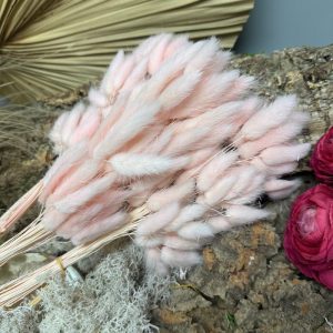 Bunny tail light pink