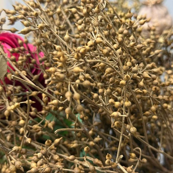 Eucalyptus seeded natural - Image 2