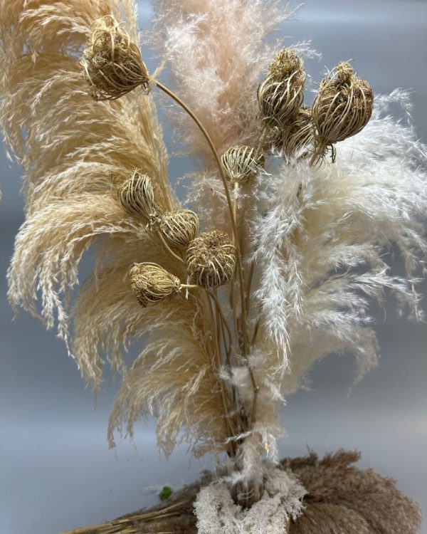 Finocchio naturale - immagine 4