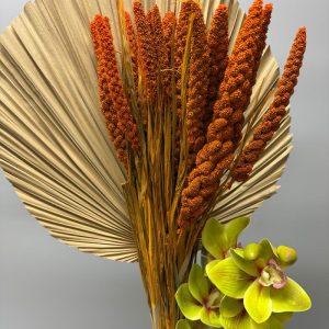 Miglio arancione