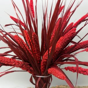 Miglio rosso bordeaux