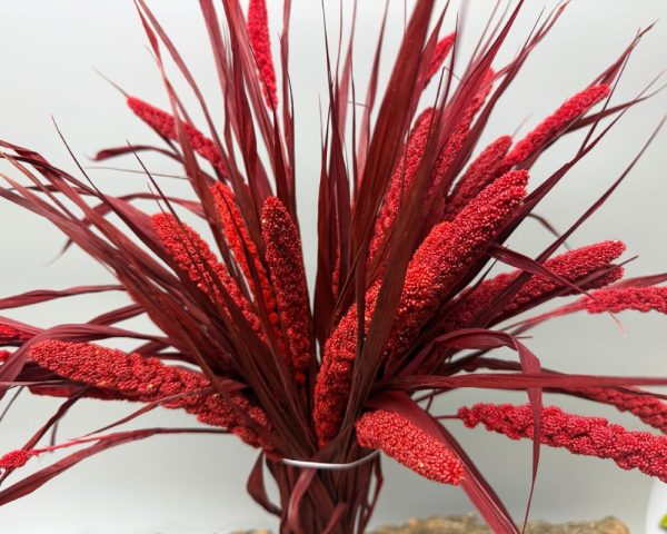 Miglio rosso bordeaux
