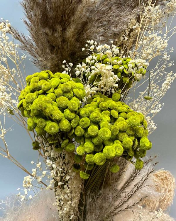Botao bolado verde - immagine 2
