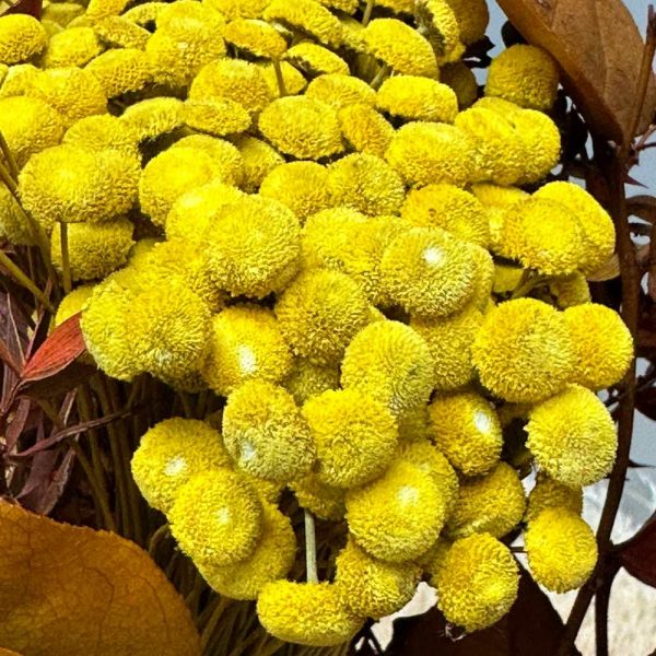 Botao bolado giallo - immagine 2