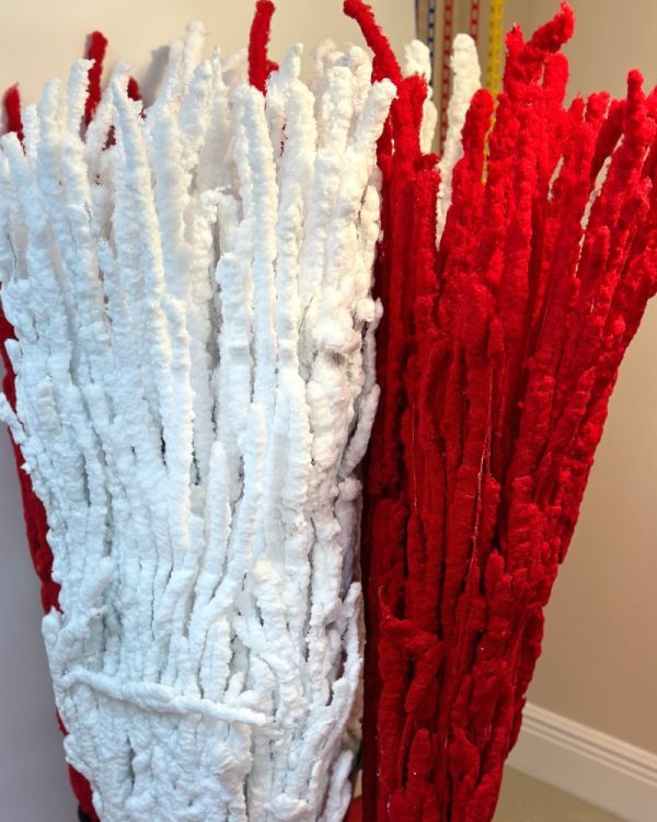 Birch white red - Image 2