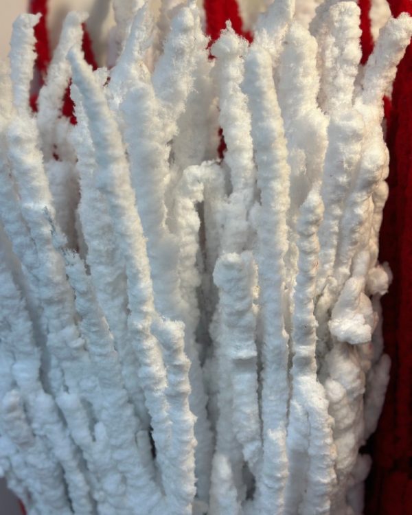 Birch white red - Image 3