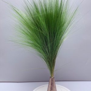 Barba de bode green