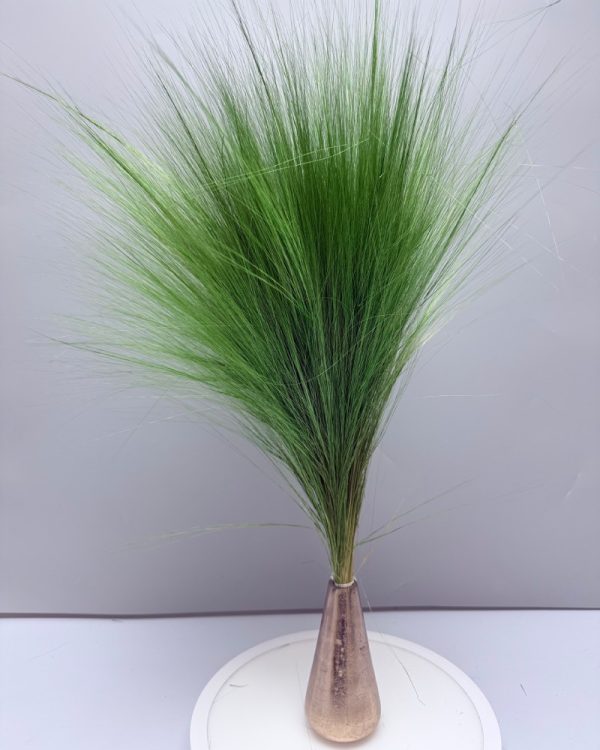 Barba de bode verde