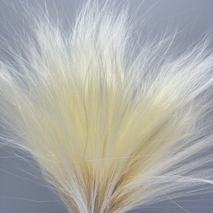 Barba de bode white