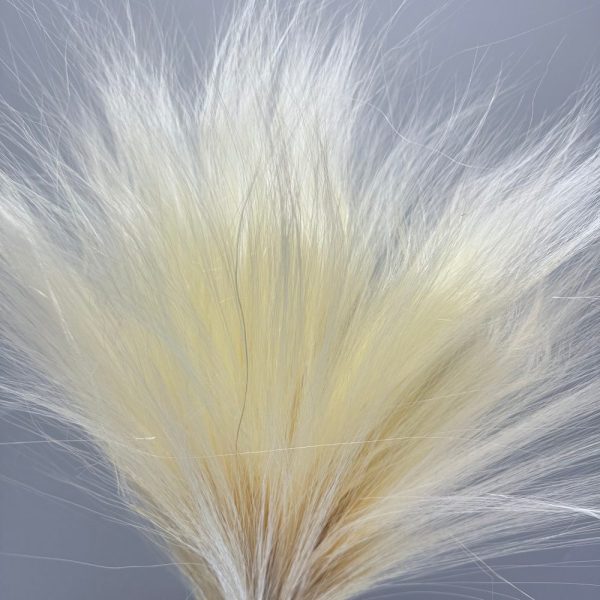 Barba de bode white