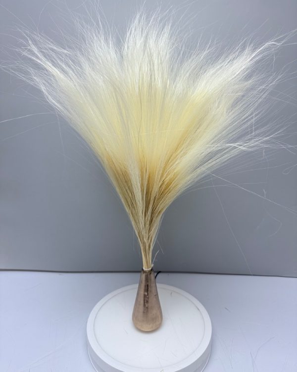 Barba de bode white - Image 2