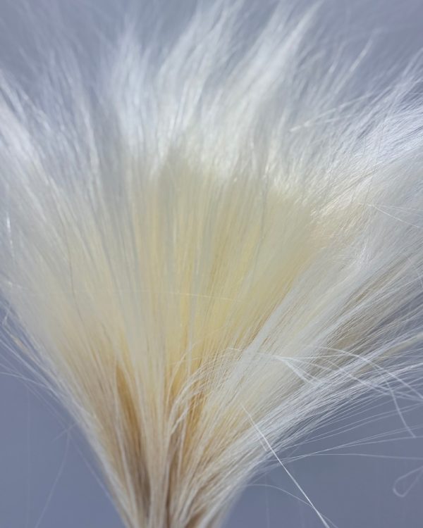 Barba de bode white - Image 3