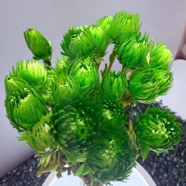 Capblumen green