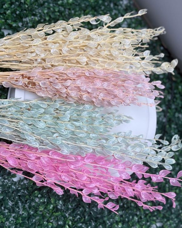 Lunaira colori primaverili