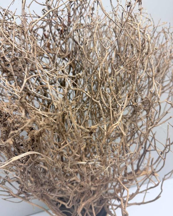 Branches decorative twigs natural - Image 2
