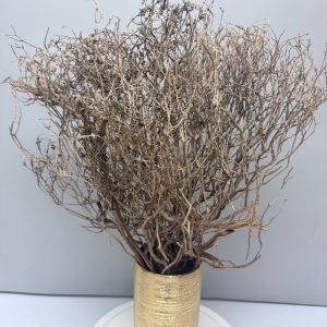 Branches decorative twigs natural