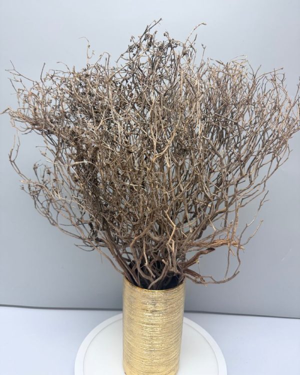 Branches decorative twigs natural