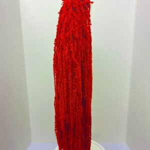 Amaranthus bright red