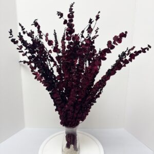 Baby blue bordeaux scuro